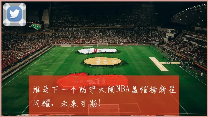 谁是下一个防守大闸NBA盖帽榜新星闪耀，未来可期！