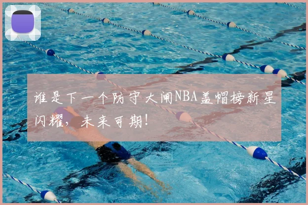 谁是下一个防守大闸NBA盖帽榜新星闪耀,未来可期!